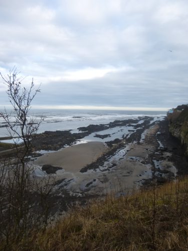 view from the cliffs, St Andrews